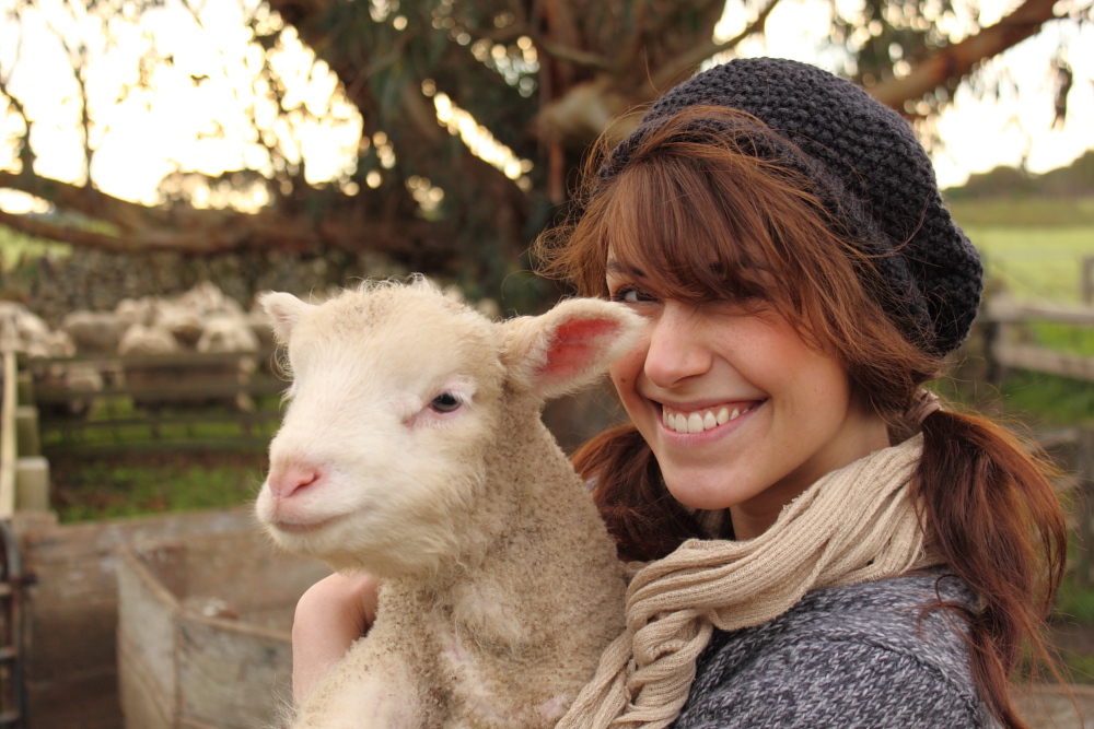 Farm - Franzi und das Schaf