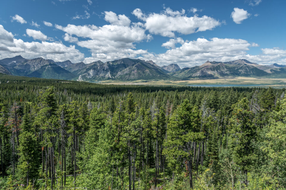 roadtrip northwest 3/3: glacier & waterton park