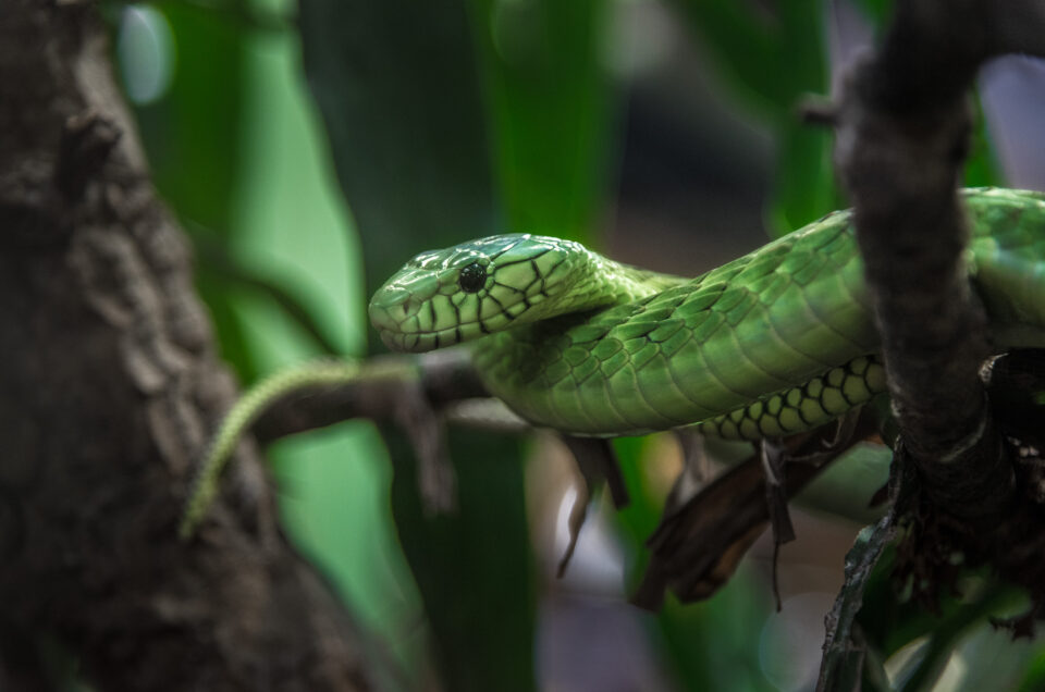 terrazoo rheinberg