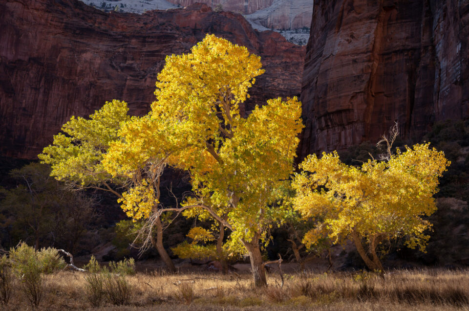 zion im herbst