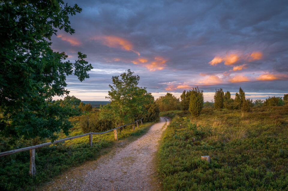 pfingsten in der lüneburger heide