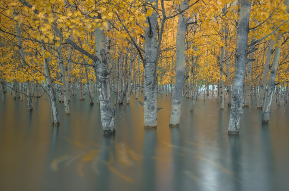 abraham lake