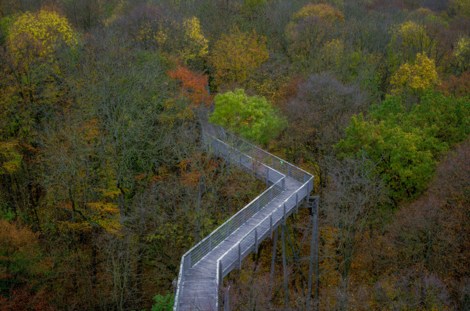 nationalpark hainich