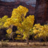 USA Der Westen Karte - 150+ Fotospots Karte – Bild 7