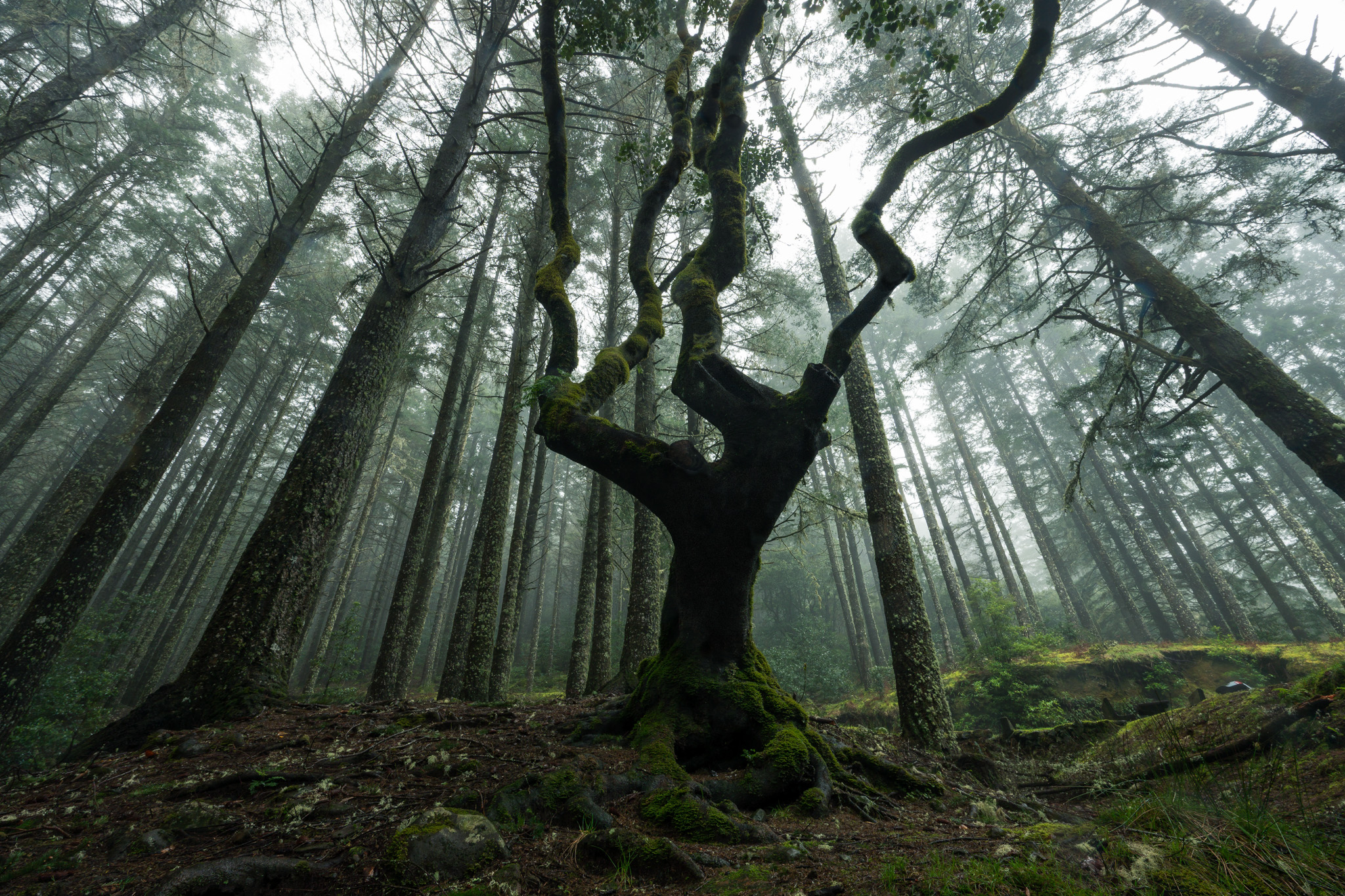Madeira - 50+ Fotospots Karte – Bild 9