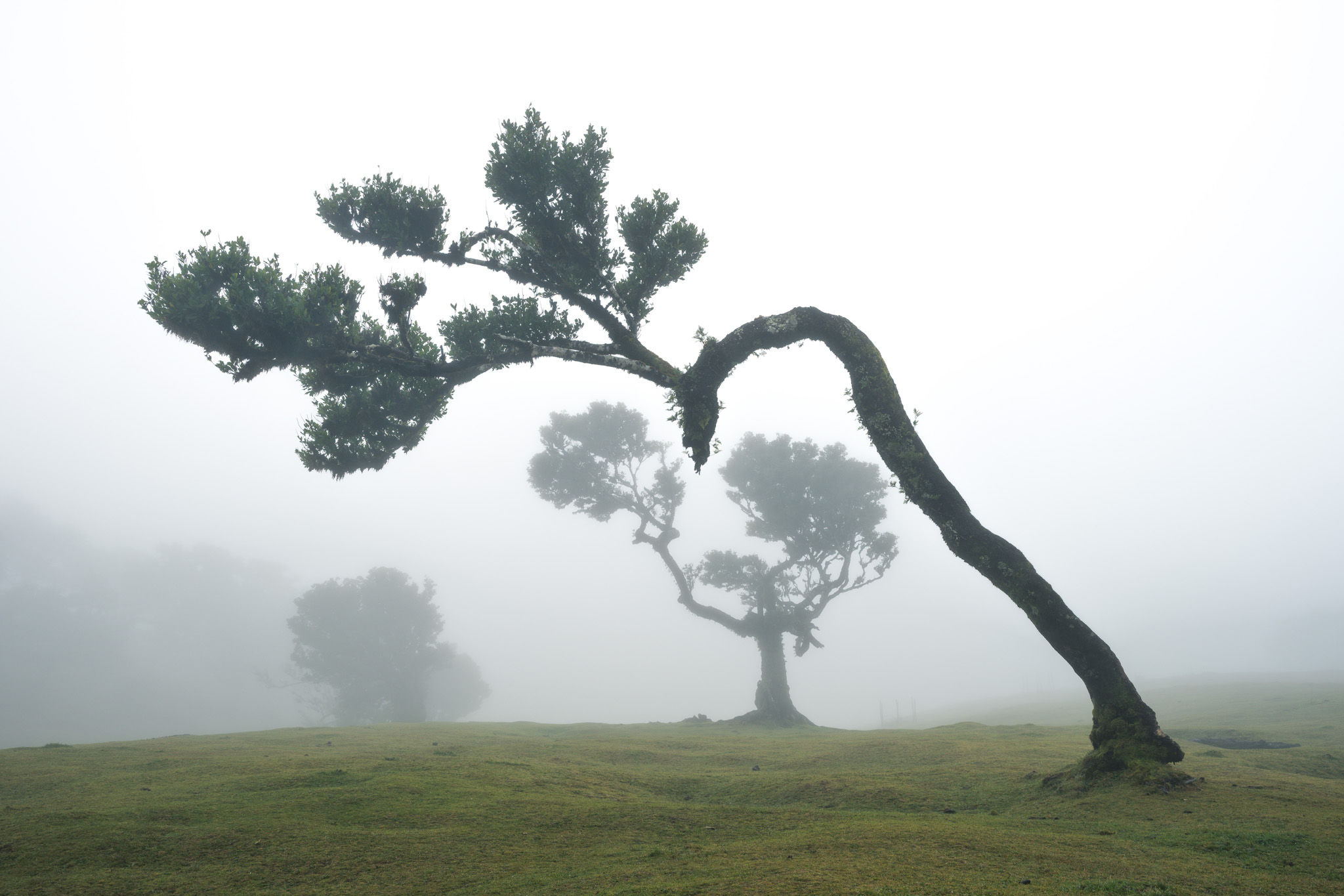Madeira - 50+ Fotospots Karte – Bild 5